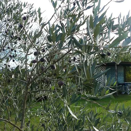 Hotel Biolento