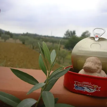 Hotel Biolento